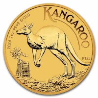 Australian Kangaroo 2024