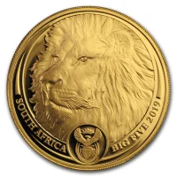 Big Five - Lion 2019