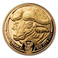 Big Five - Buffalo 2021