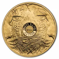Big Five Serie Gold Coins for Sale