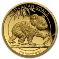 Koala 2016