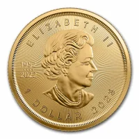 Maple Leaf Gold Coins for Sale