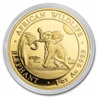 Somalian African Elephant Gold Coins for Sale
