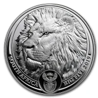 Big Five - Löwe 2019