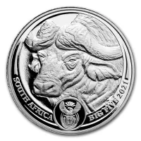 Big Five - Buffalo 2021