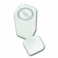 Australian Kangaroo (Perth Mint) Silver Coins for Sale