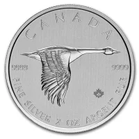 Canadian Goose Silver Coins for Sale