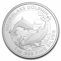 Dolphin RAM Silver Coins for Sale