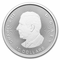 Ice Age Kanada Silver Coins for Sale