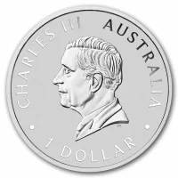 Koala Silver Coins for Sale