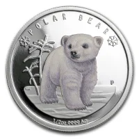 Polar Babies Silver Coins for Sale