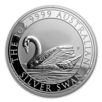 Silver Swan 2017