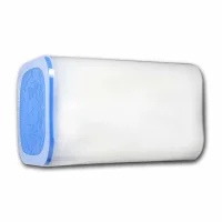 Somalian African Elephant Silver Coins for Sale