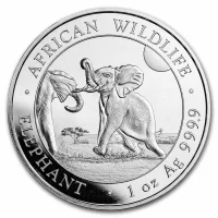 Somalian African Elephant Silver Coins for Sale